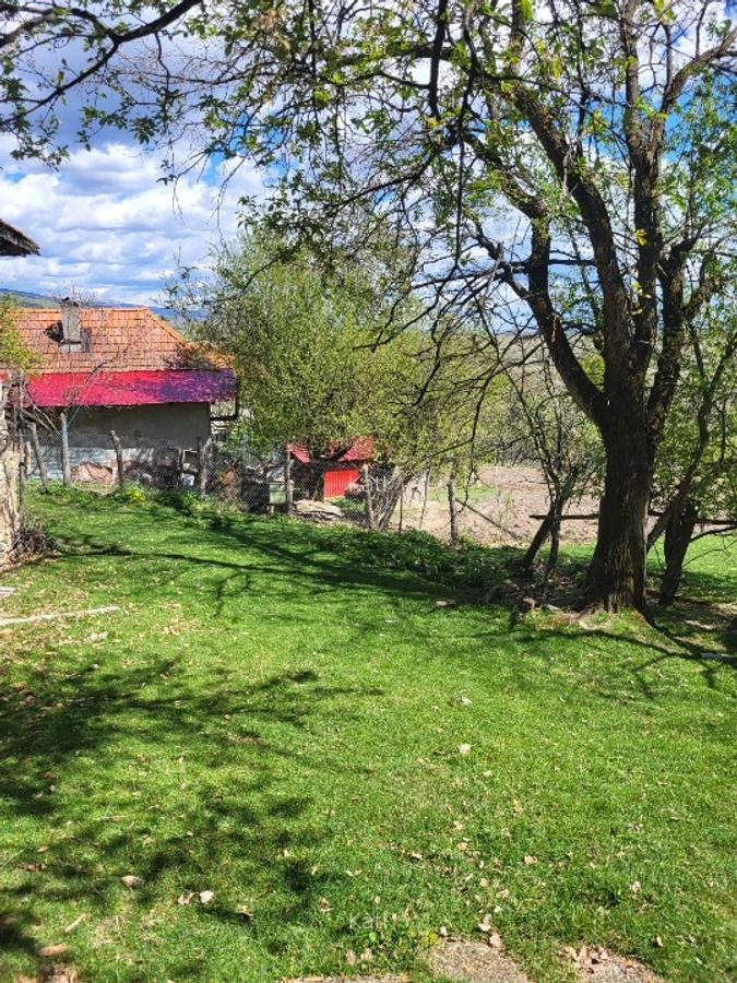 Vand 2 case batranesti Musetesti Gorj - 2