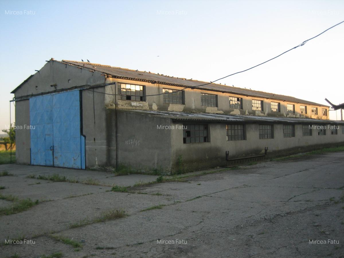 Teren Construcții intravilan de 14613 mp, în Poarta Albă - 7