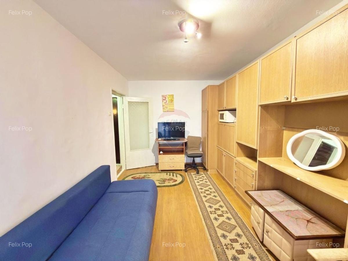 Garsoniera de vanzare (Micalaca, strada Simfoniei) - 7