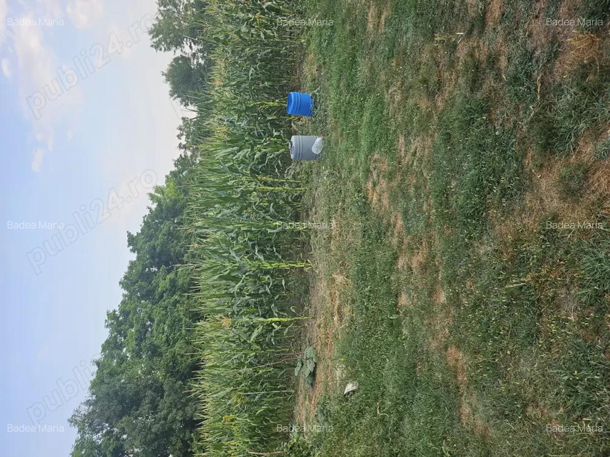 Casa de vanzare + teren ieftina - 3