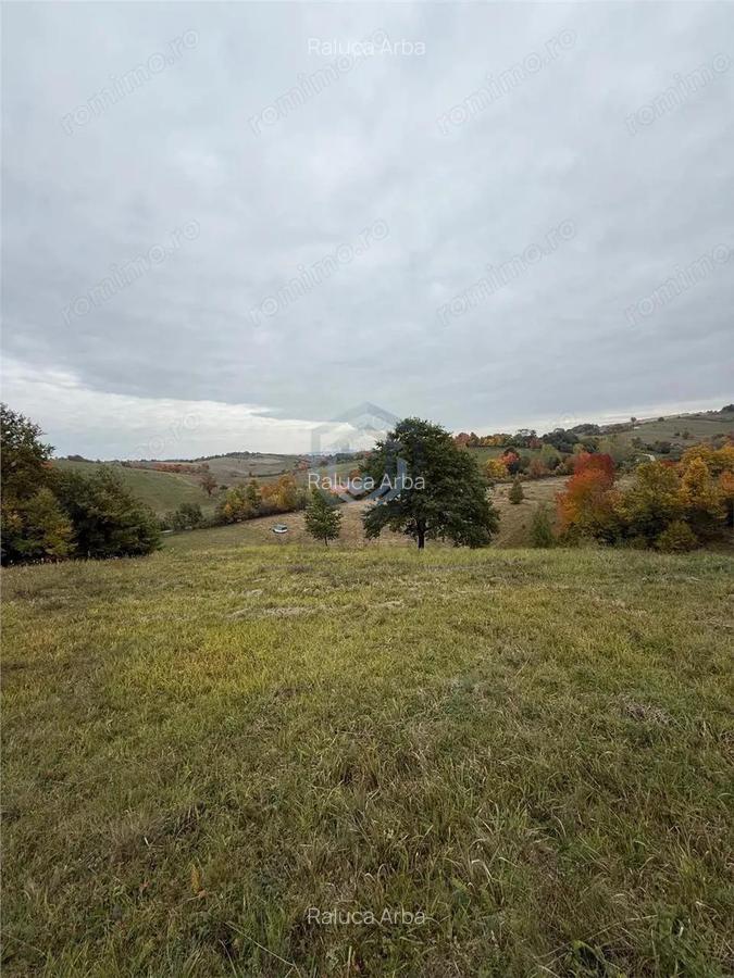 Teren intravilan 17,265 mp in Tomnatic, comuna Vadu Crisului - 5