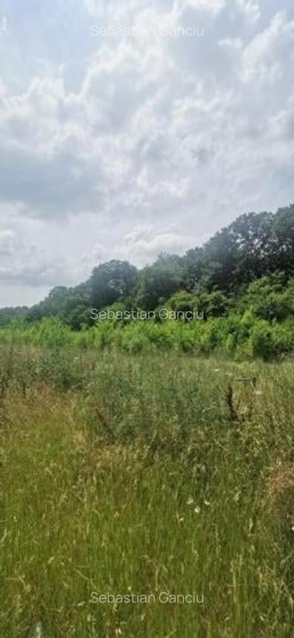 Corbeanca Teren 3546 mp - liziera padure - utilitati - 3