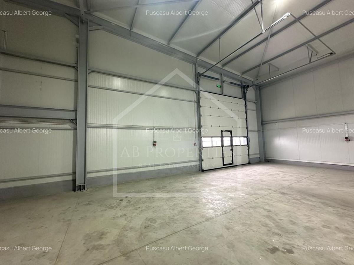 Ultima HALA  depozit/hala/spatiu industrial 2025, CHITILA - TOP DEAL - 6