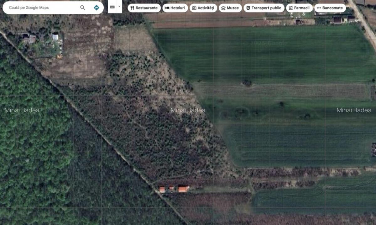 `Teren cu dubla deschidere, langa padure, Snagov - Strada Pa - 5