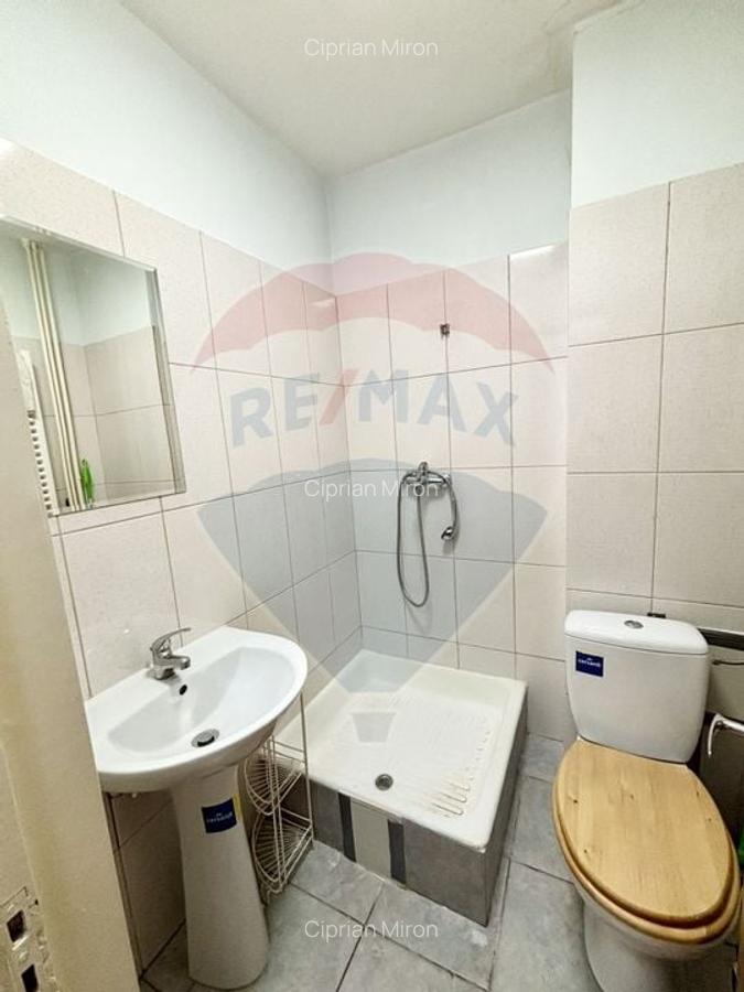 Apartament de inchiriat in zona Arcul de Triumf, Kiseleff, Averescu - 14