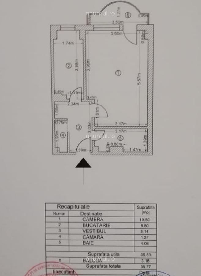 Lacul Tei, Maica Domnului vav Parc Tei - 1