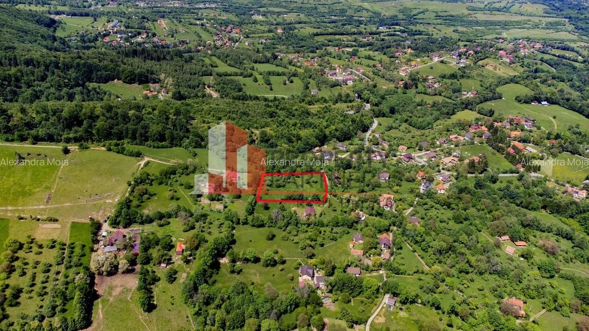 Teren Construcții intravilan de 6273 mp, în Bran - 4