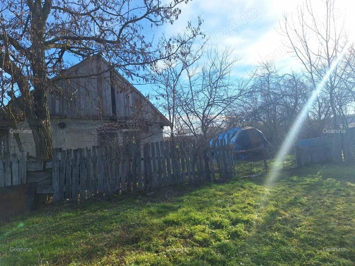 Casa de vanzare,Sacosu mare,6000m2,acte la zi,zona foarte linistita - 3