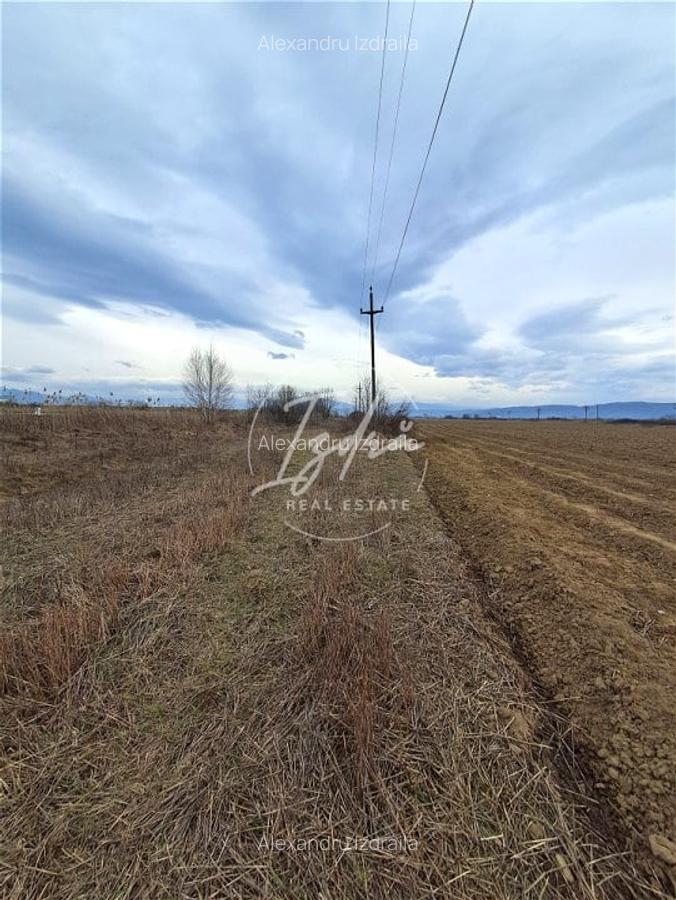Teren extravilan Avrig - 6