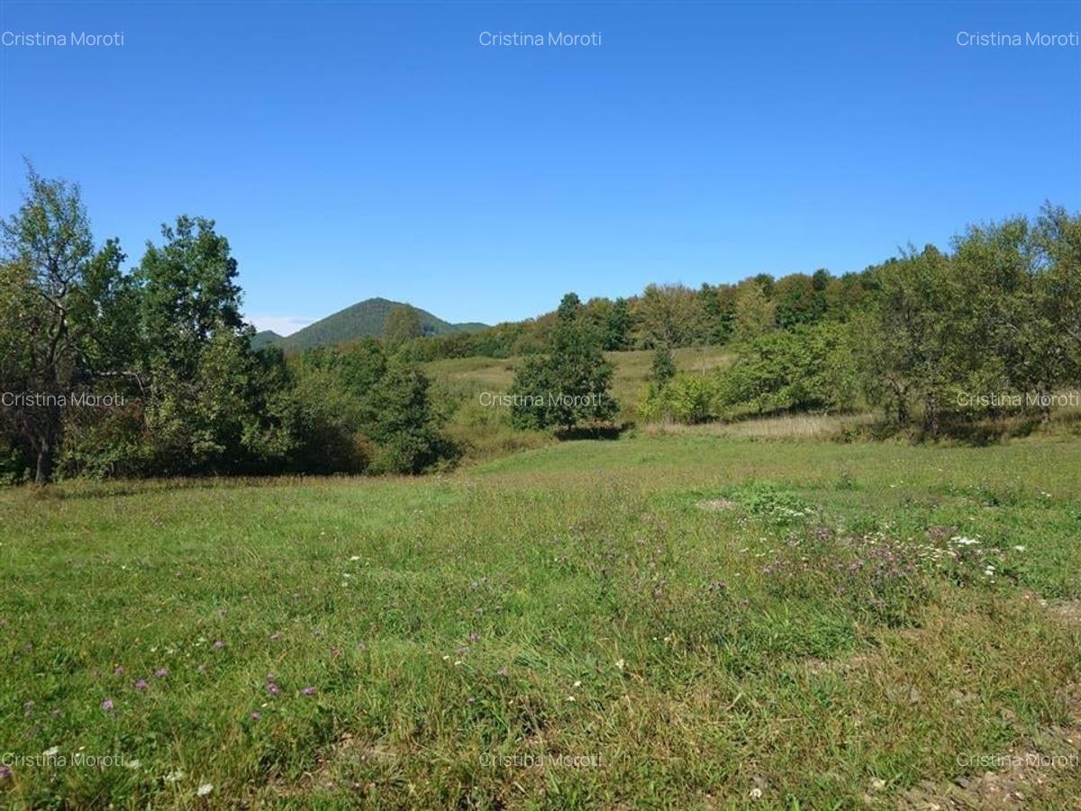 Teren intravilan 8757 mp cu potential turistic si acces direct la E79 - 13