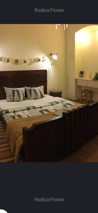 Apartament tip studio- Centru istoric- langa Piață Sfatului - 4