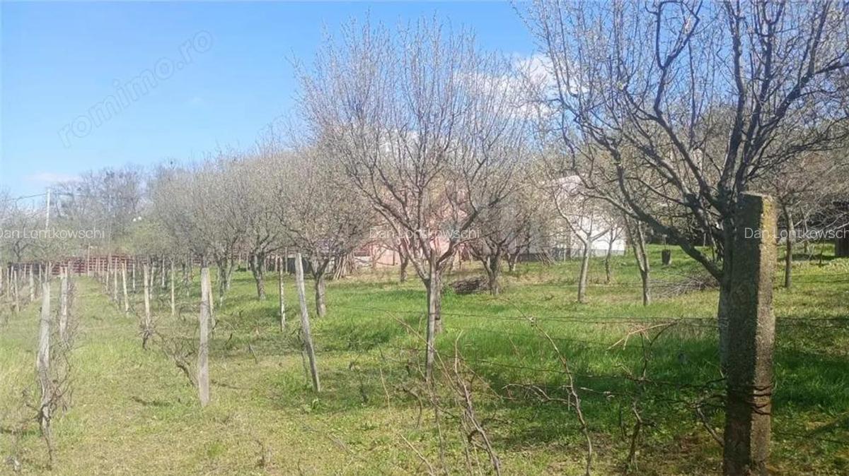 Pietrarie Vila P+1 s=164mp garaj beci teren 2000mp livada vie zona verde - 14