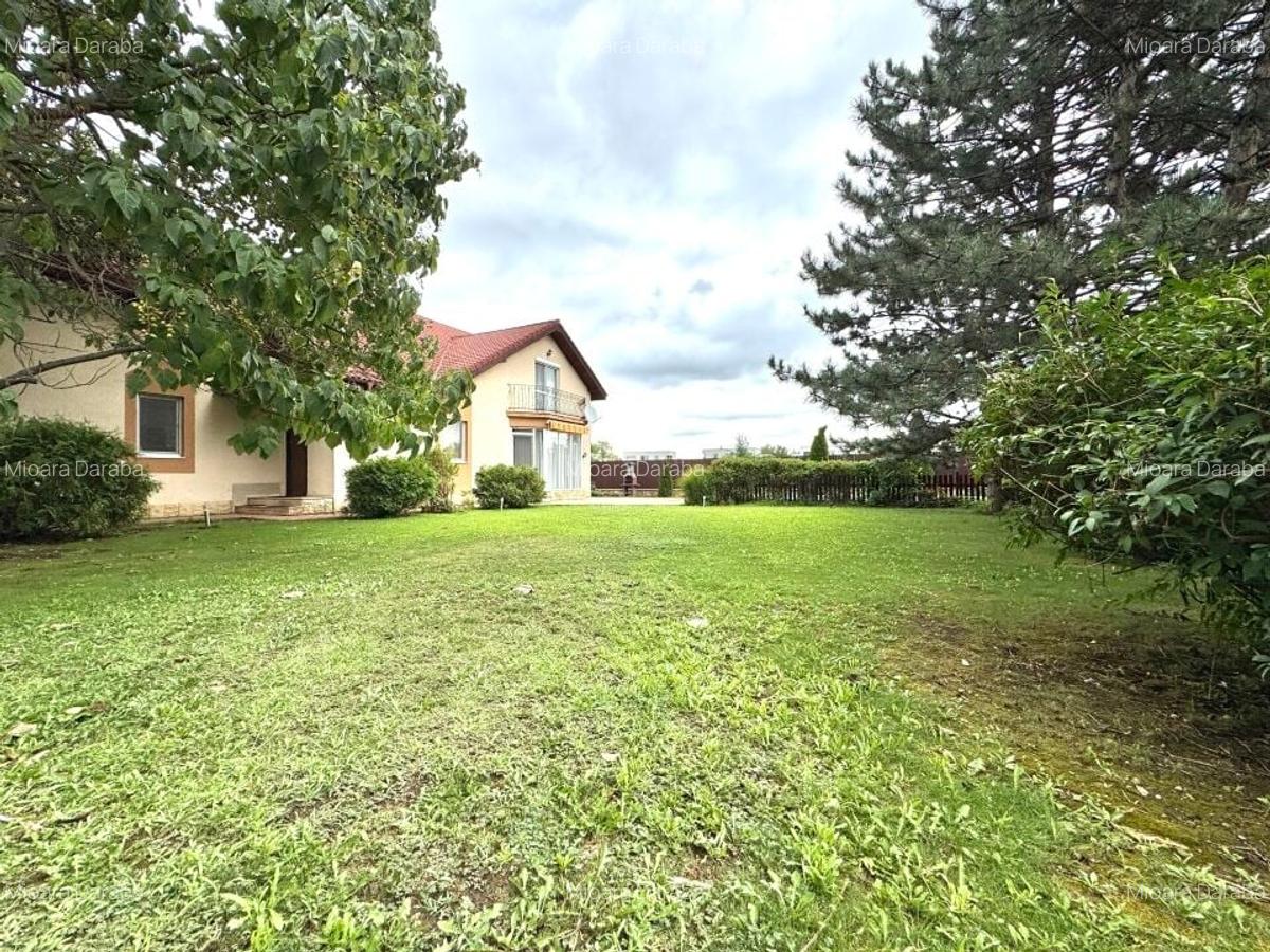 Individual villa with swimming pool Iancu Nicolae - 7