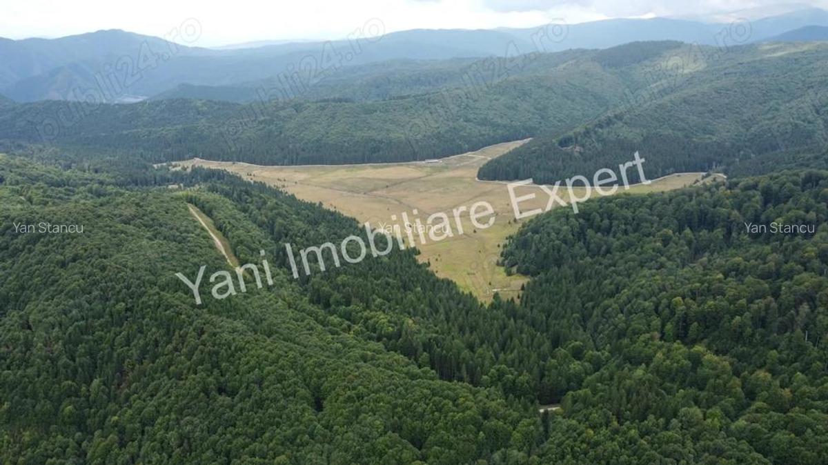 Teren de vanzare in apropiere de Transfagara?an ?i Valea Valsanului. - 7