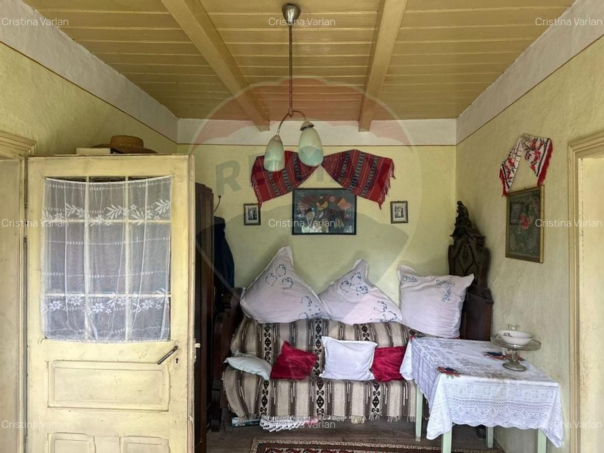 Teren intravilan 4.779 mp + casa si anexe - Girov, Neamt - 8