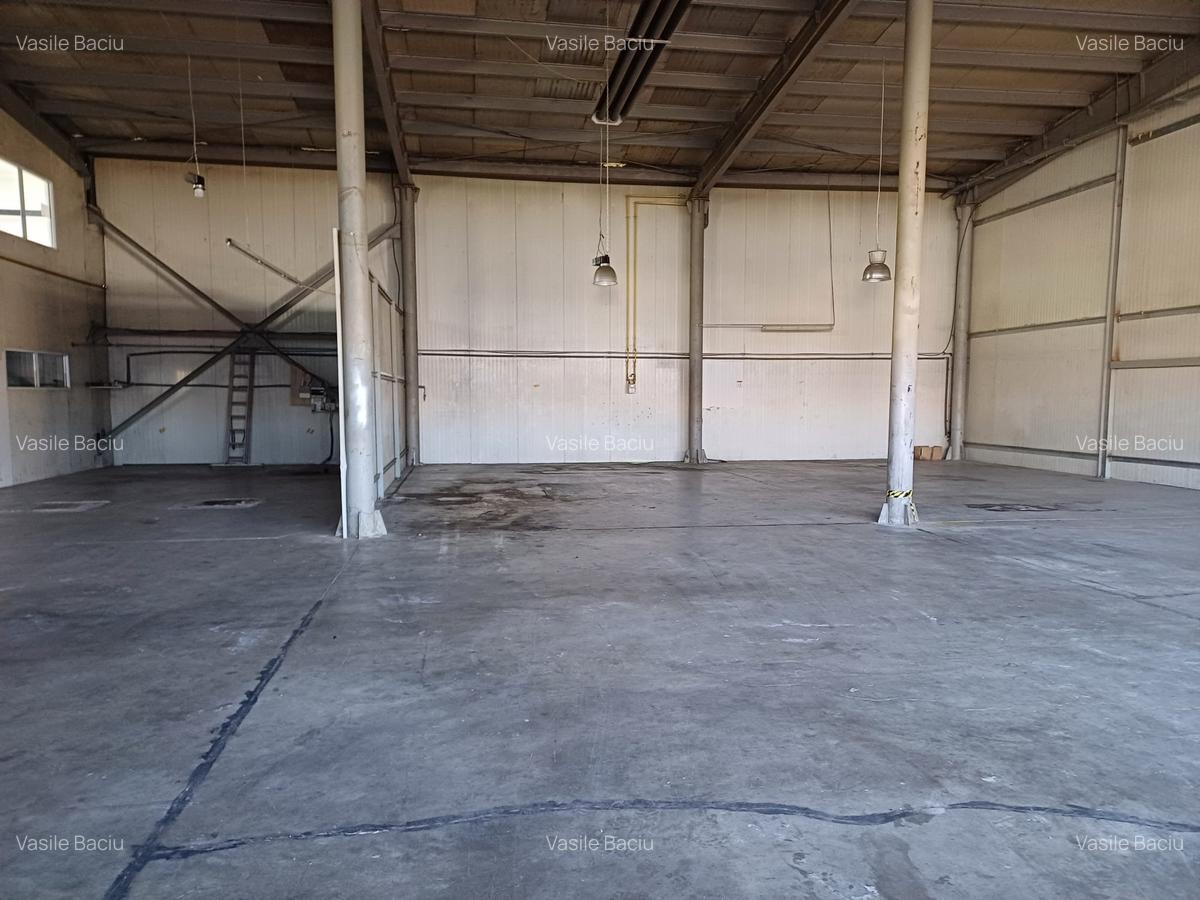 Spațiu industrial, 544 mp în Griviței - 4