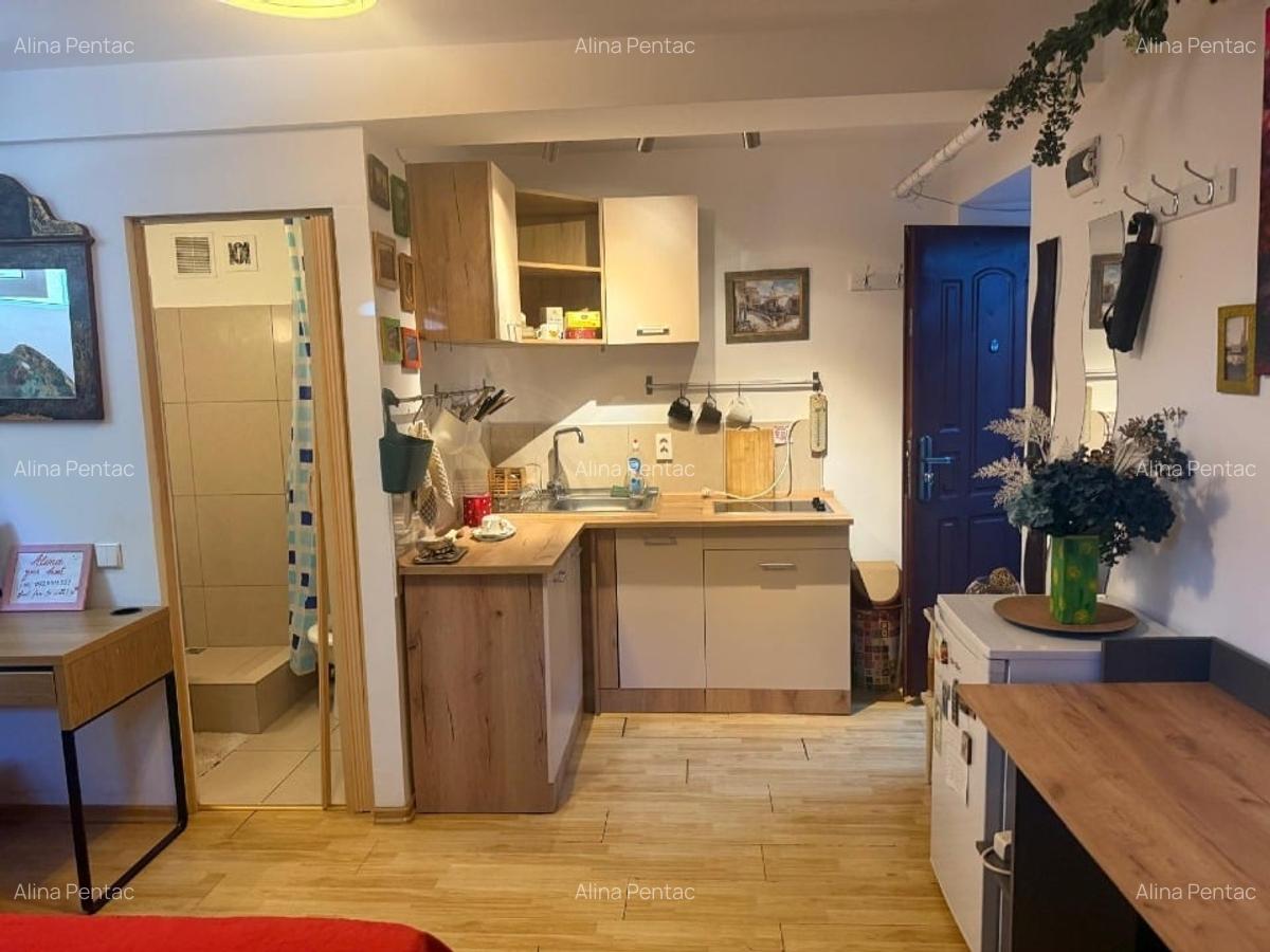 Garsonieră de Închiriat în Zona Kiseleff – Exclusiv Doamne sau Domnisoare 300 E - 6