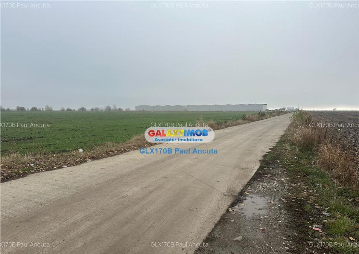Teren la sosea Afumati Petrachioia 29500 mp pentru Industria - 1