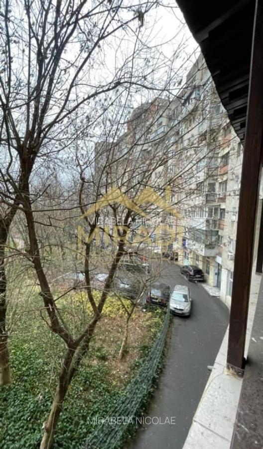 Vanzari Apartamente 2 Camere Crangasi - parcul Nicolae Filimon - 3