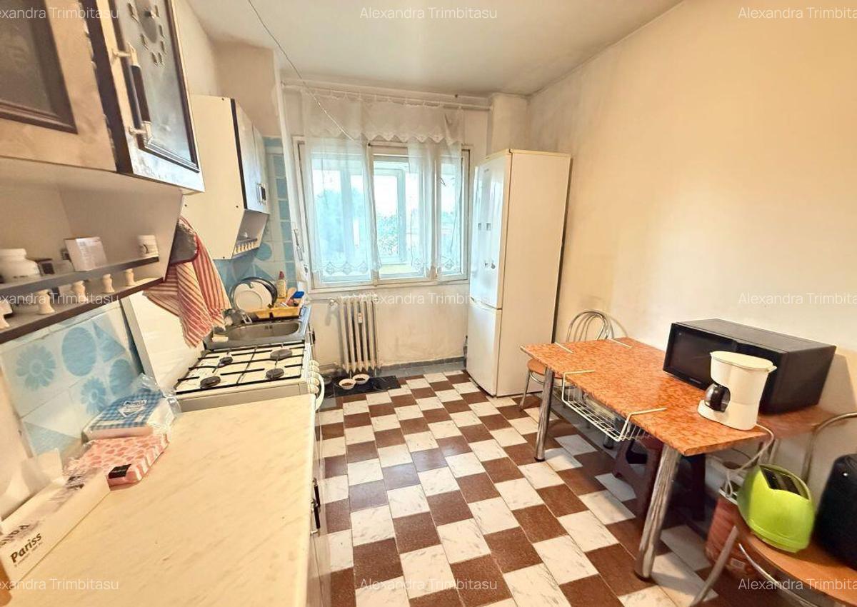 Apartament 3 camere Lacul Tei Teiul Doamnei - 9
