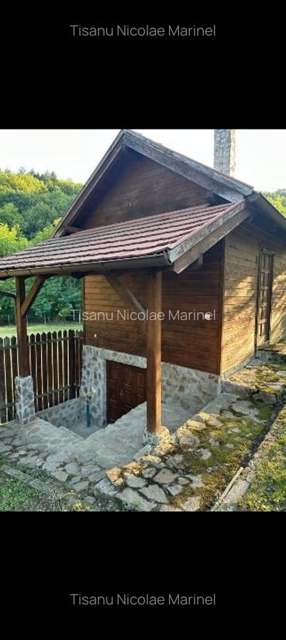 Casă de vânzare situata in Valea  Cheii, Păușești Măglași , Valcea - 8