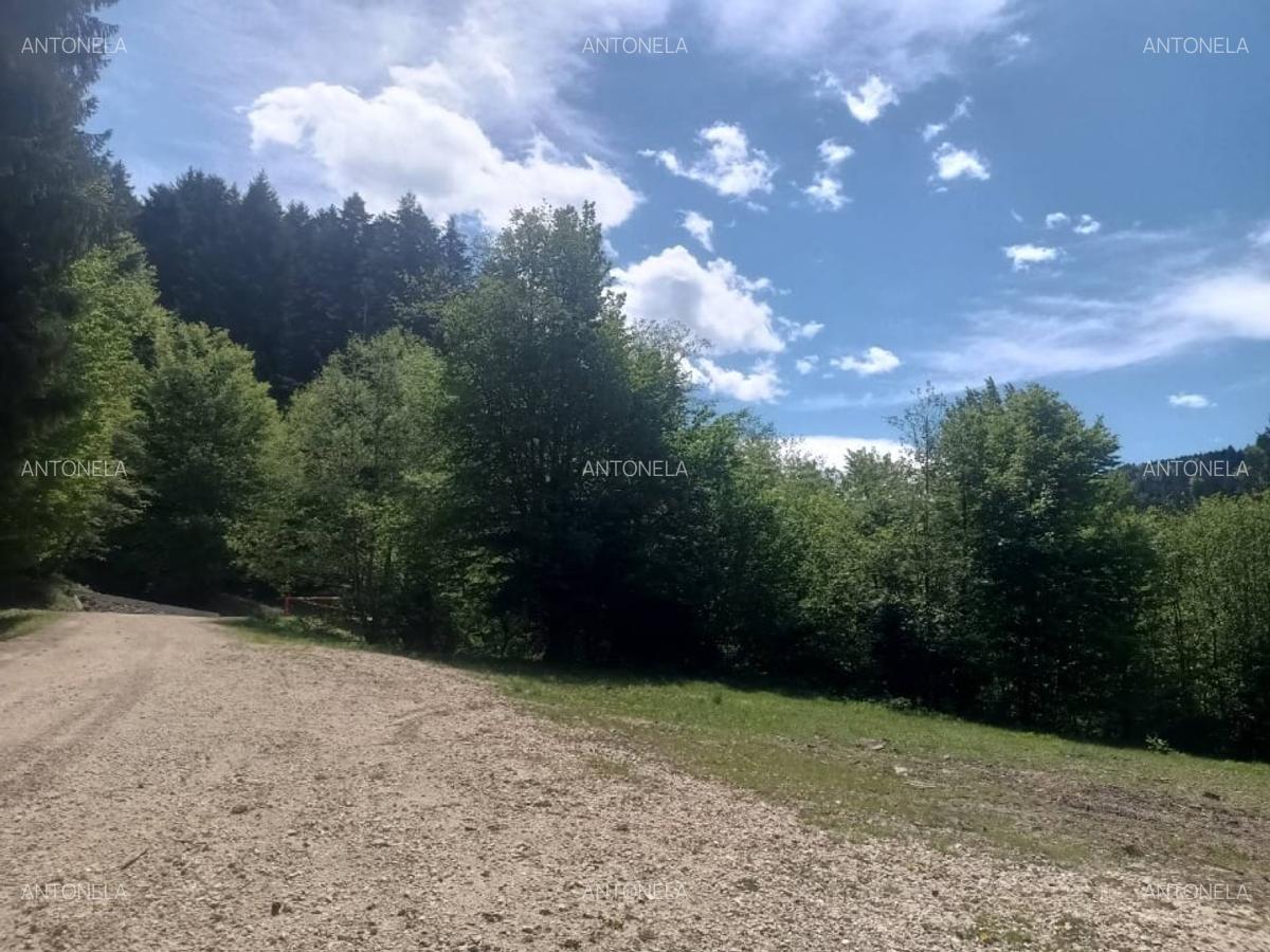 Vnd teren la munte, zona foarte frumoasă - 10