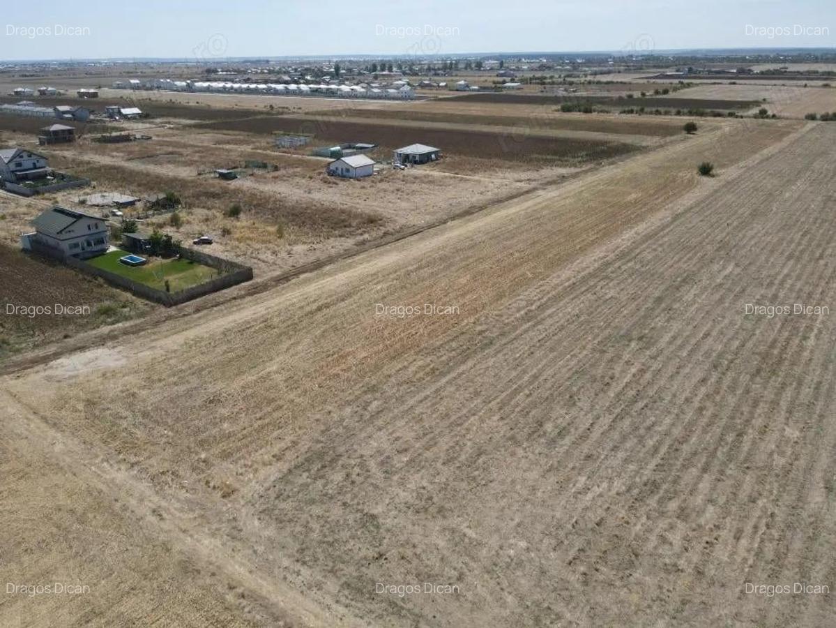 Teren Intravilan Com Berceni | utilitati: curent - gaz | #MG14E - 7