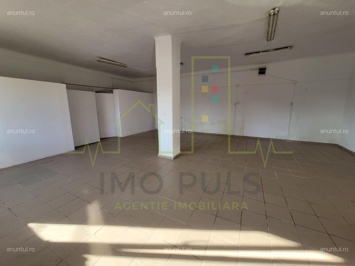 Casa individuala in Sacalaz, spatii comerciale - 2