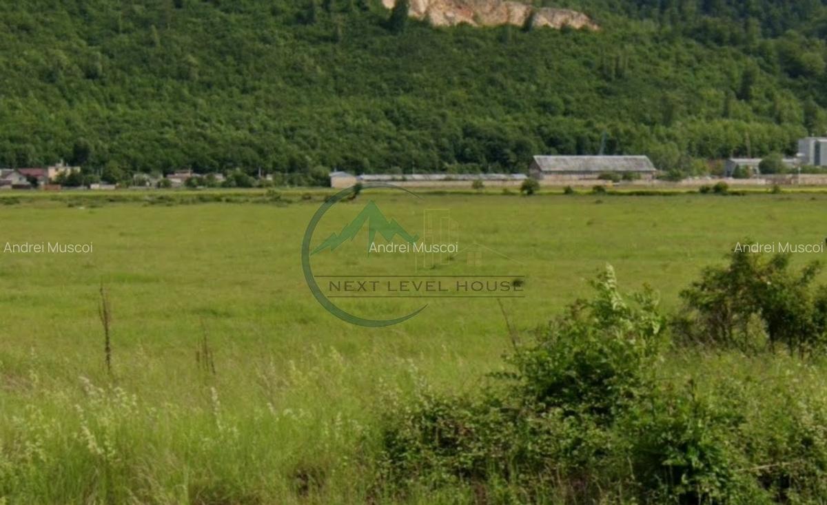 Teren Intravilan Bartolomeu Carierei Bazaltului - 1