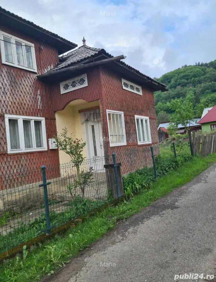 Vand casa in Moisei + 10 ari de teren - 4