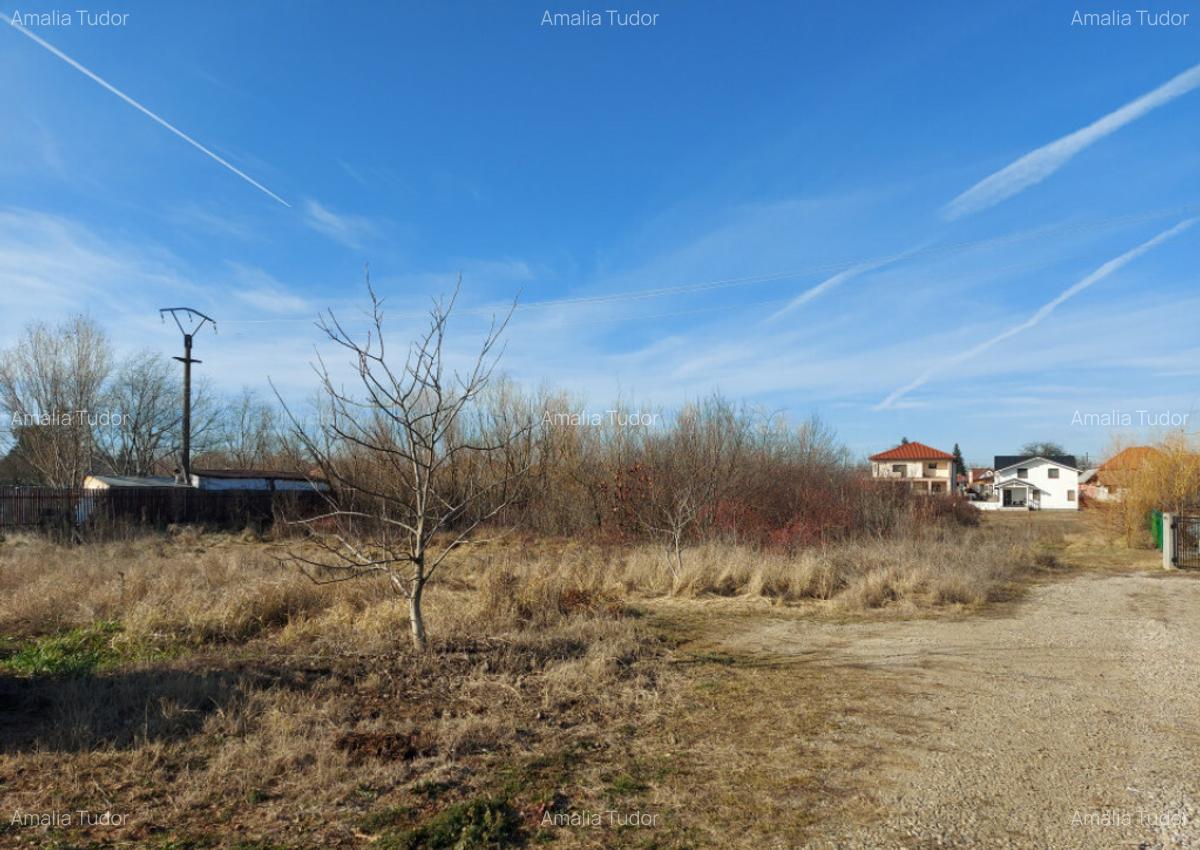 Loc de casa cu utilita?i, 944mp, 29m deschidere, Cioflice - 8