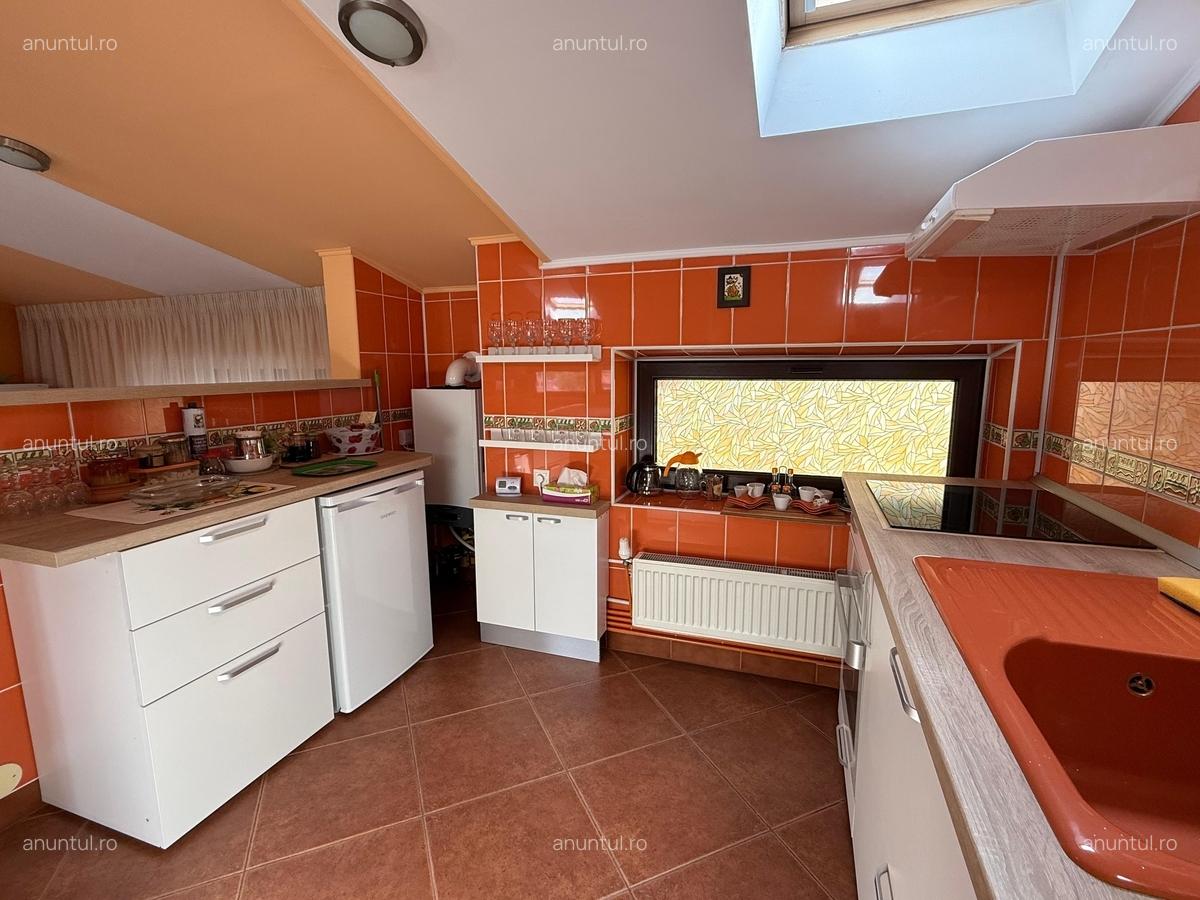 Dorobanti, Tudor Stefan - 12