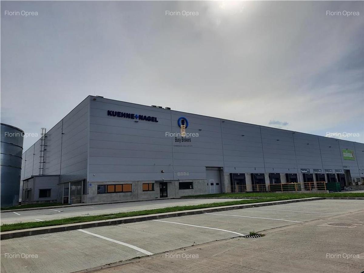Spatiu Industrial - 4000 mp - Logistica - Productie - Depozitare - Distributie - 3