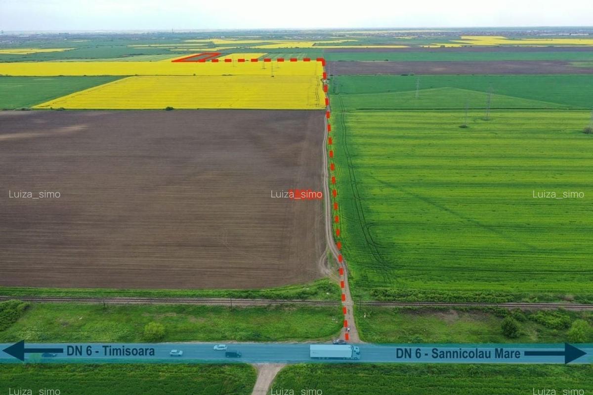 Teren industrial / extravilan în zona COLA – Timișoara - 4