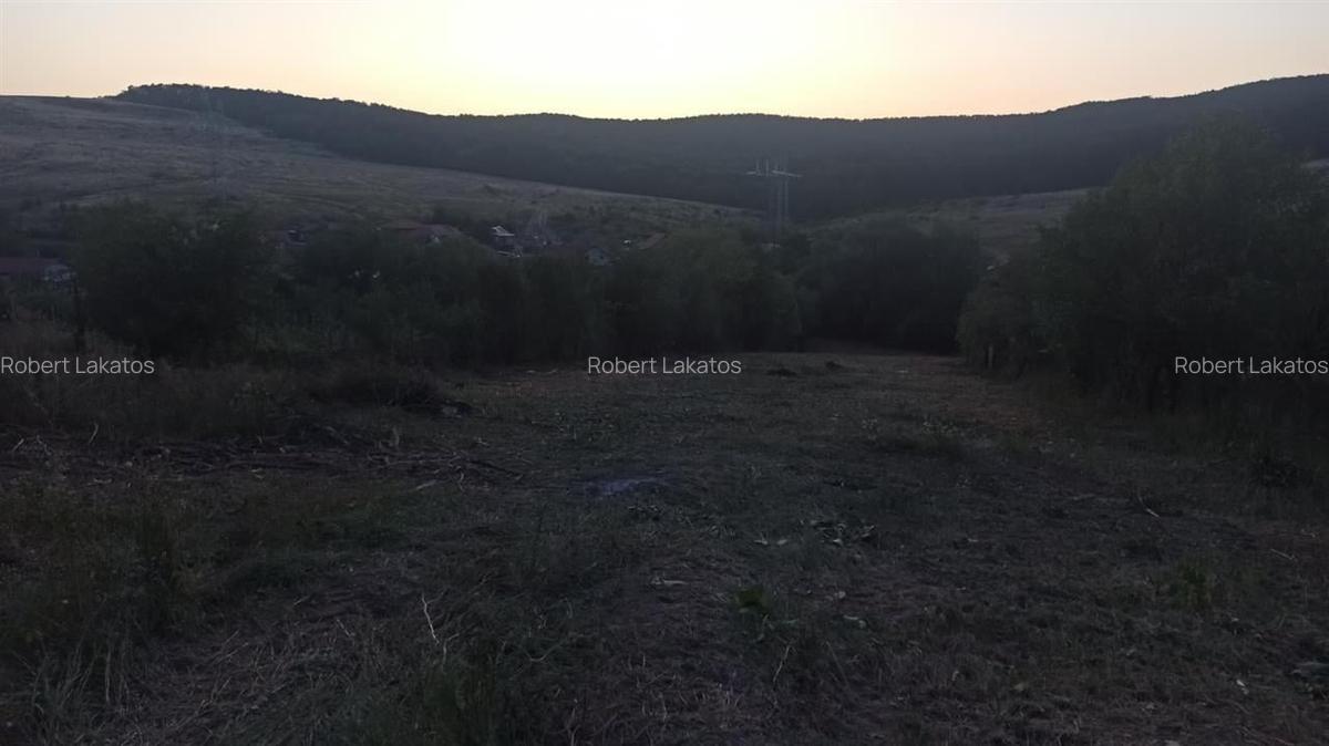 RECO Teren intravilan Husasau de Cris - 3