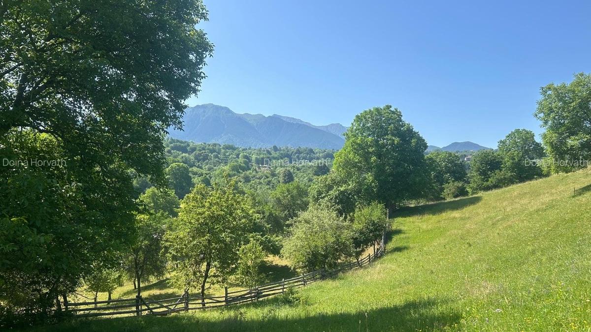Teren Sohodol cu vedere catre M-tii Bucegi - 1