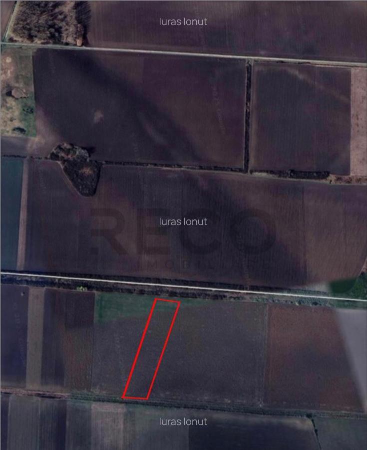 RECO Teren extravilan 9000mp zona Bors - 1