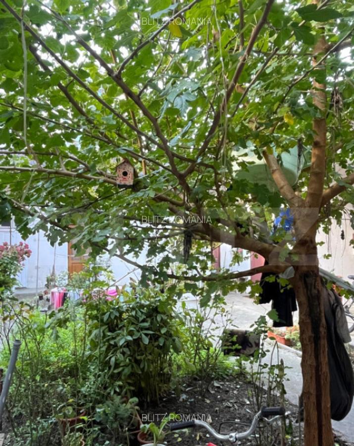 Casa cu curte comuna 2 ap. separate, zona Pia?a Abato - 10 Casa cu curte comuna 2 ap. separate, zona Pia?a Abato - 10