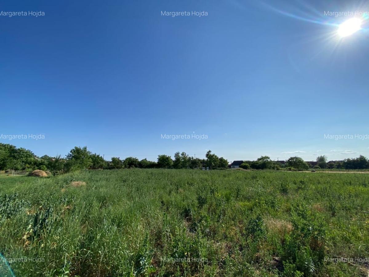 Casa de vacanta , 2 cam, teren 3.381 mp - 19