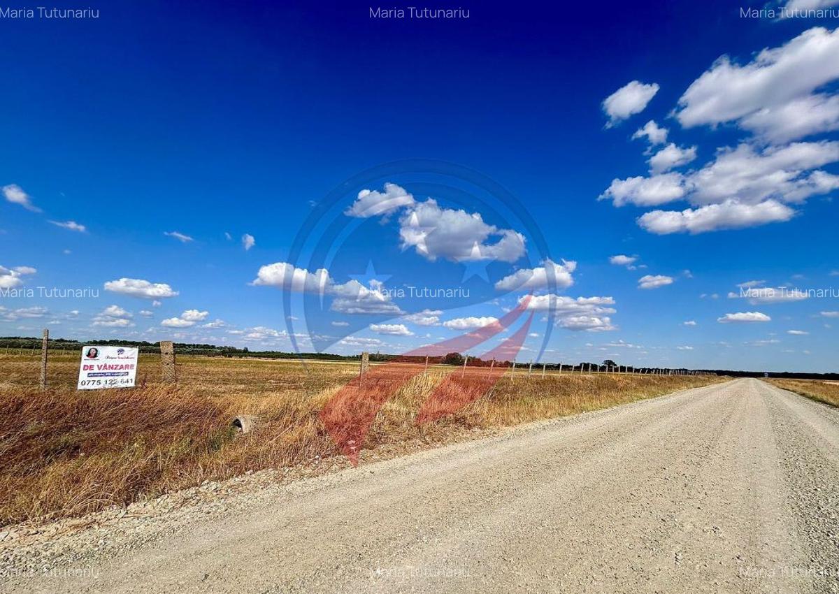 Teren 30.500 mp de vanzare in Livezi, Dolj - 3