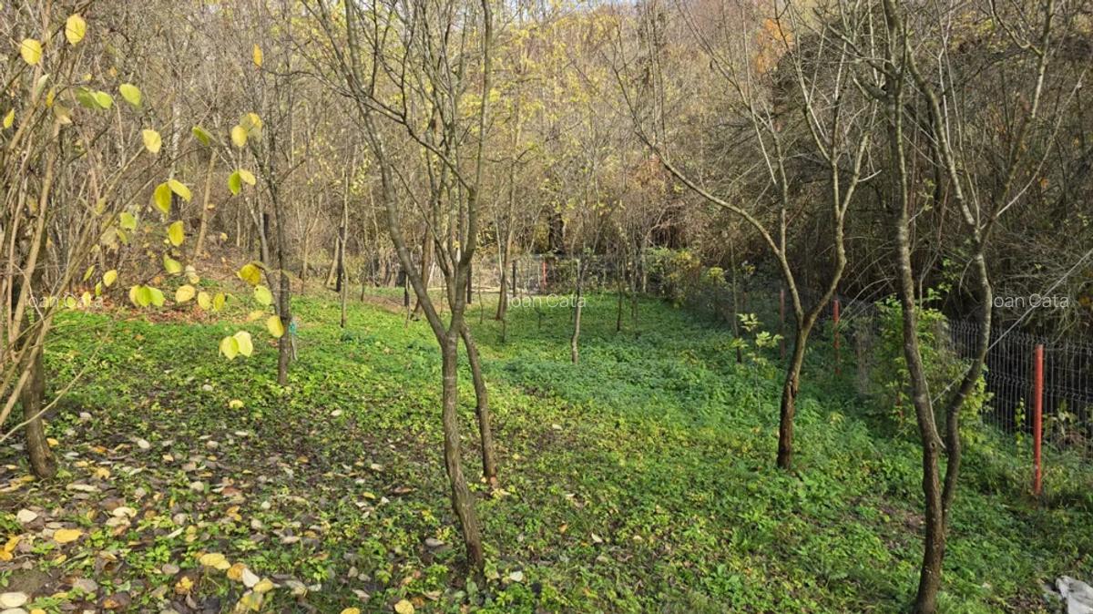 Casa de vacanta zona de padure, Trestioara Prahova - 9