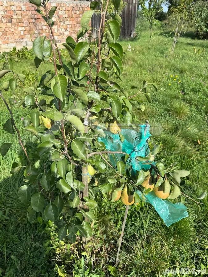 Casa de Vanzare GORNESTI- Renovata 2025 semifinisata. - 6