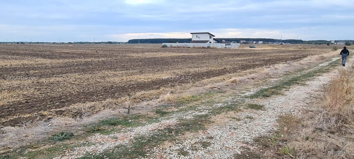 Magurele, Ilfov, depozit Urgent Cargus - 11 Magurele, Ilfov, depozit Urgent Cargus - 11