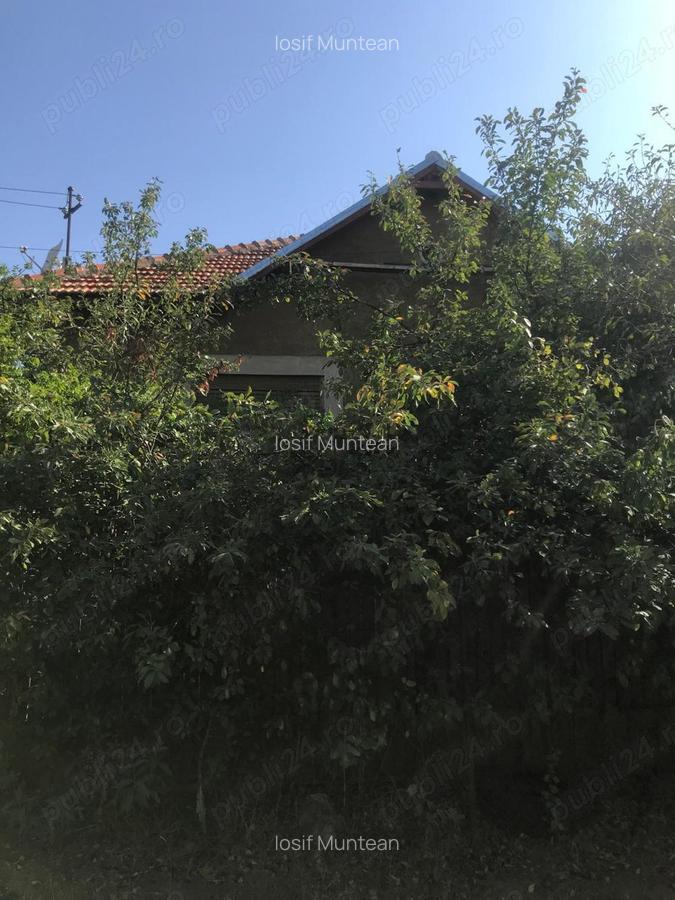 Proprietar, Vand Casa pe Deal in Oradea, zona centrala ! - 3