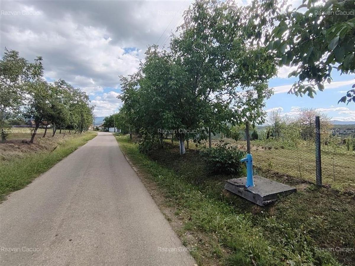 RECO teren intravilan in Saliste de Beius - 4