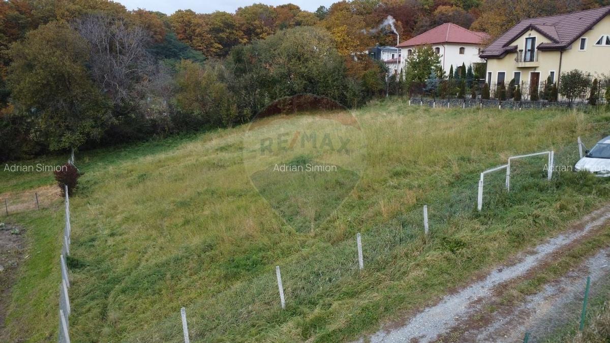 Teren de vanzare in Faget 1542 mp cu panorama - 13