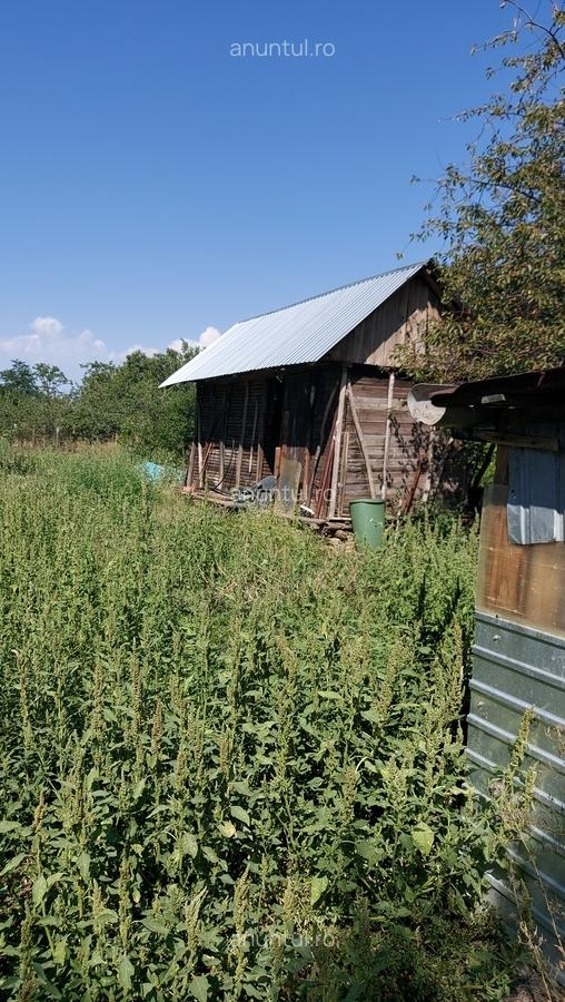 Ralesti - 7 Ralesti - 7