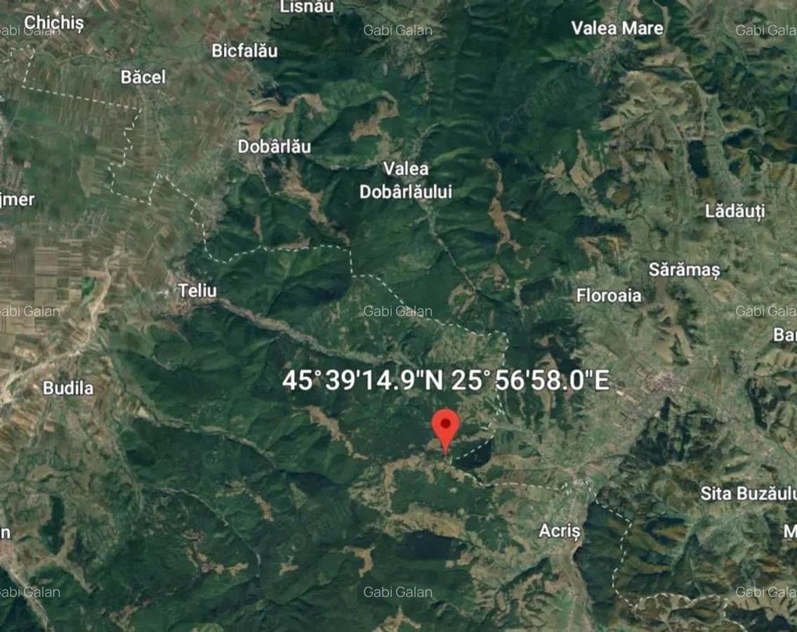 Teren - padure Teliu - Bradet - 1