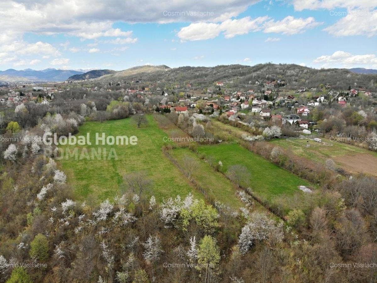 Mountain Plateau - 23.345 SQM - Exclusive Estate | Jud Prahova - Valea Prahovei - 7