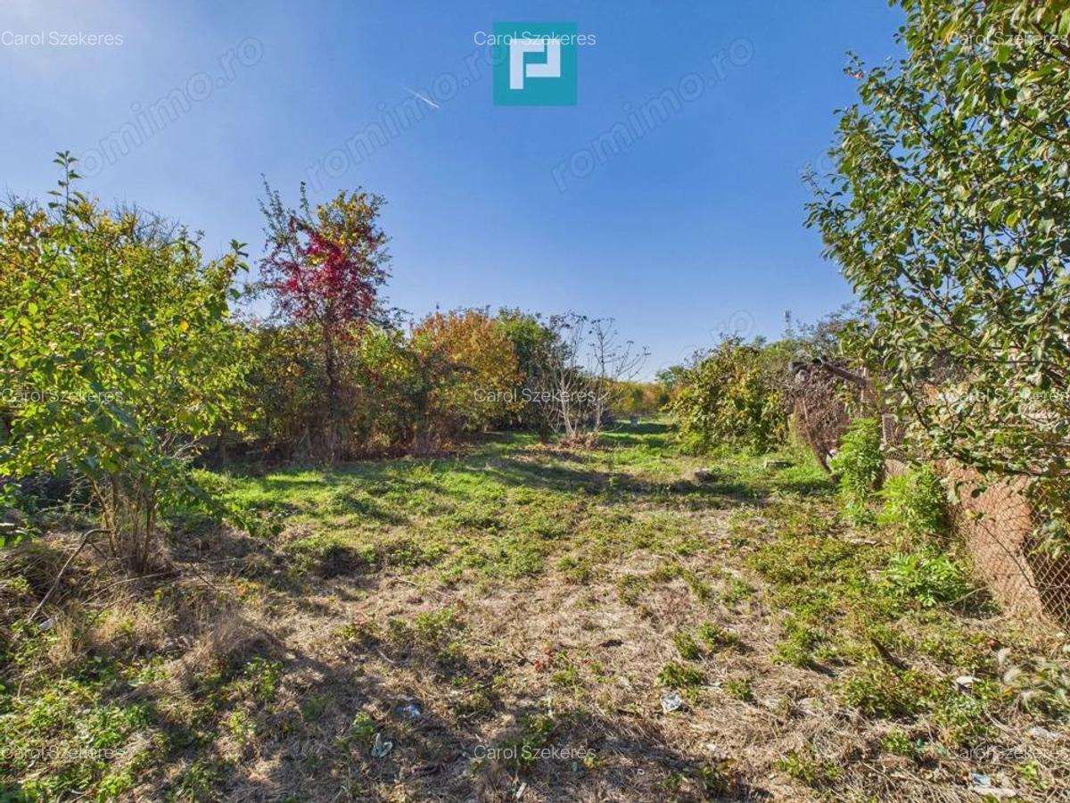Teren intravilan de 1363 mp in Mandruloc - 4